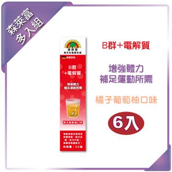 【SUNLIFE森萊富】B群+電解質發泡錠(橘子葡萄柚口味 x 6入組)