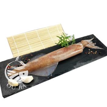 【歐嘉嚴選】鮮凍大透抽2包組- 400-500G/包-約2~3尾/包-長度約24CM以上