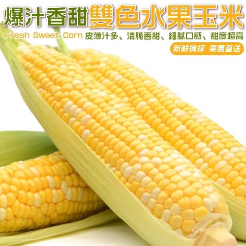 果農直配-雙色水果玉米_1箱(約10斤/箱)