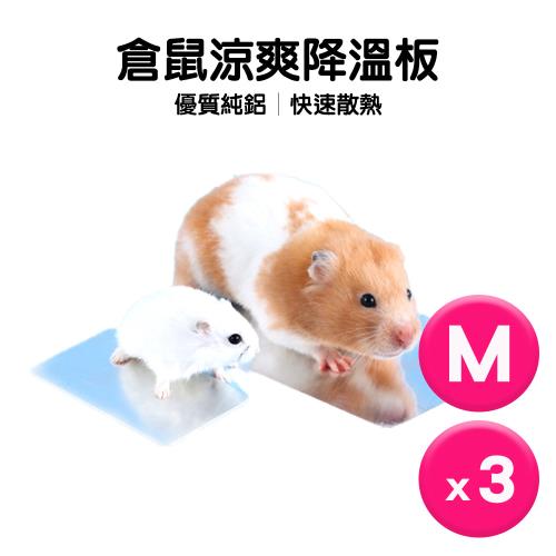 Qnni-倉鼠涼爽降溫板/小動物涼墊/散熱板M x3入