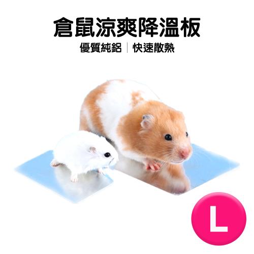 Qnni-倉鼠涼爽降溫板/小動物涼墊/散熱板L