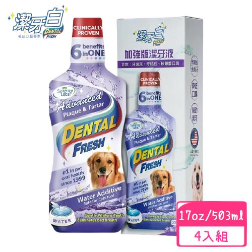 潔牙白Dental Fresh-加強版潔牙液 503ml(4入組)
