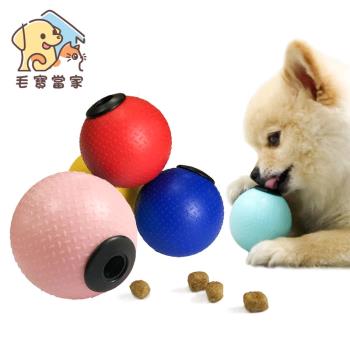 (毛寶當家)寵物益智漏食球玩具*2入 漏食磨牙玩具球 台灣製造 SGS檢驗安全無毒