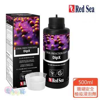 RED SEA 紅海 珊瑚能量食物PLUS AB+ 500ml