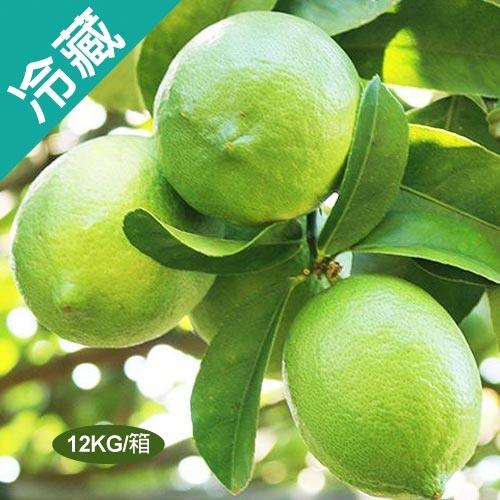 台灣產銷履歷檸檬12KG/箱(1.2KGX10袋)【愛買冷藏】