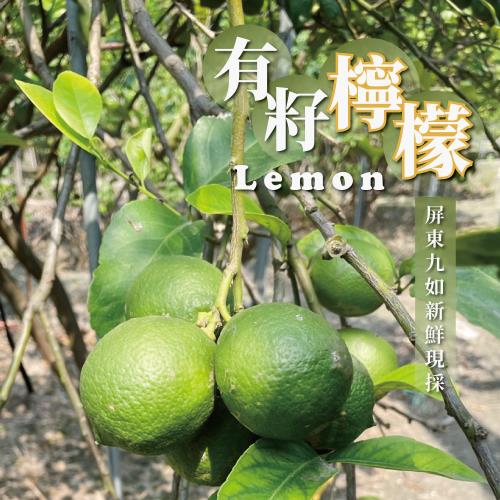【A級檸檬】屏東 檸檬 當天新鮮直送  有籽檸檬水果 產地直送 友善小農 10斤裝