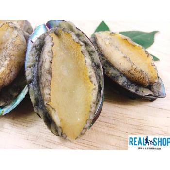 【RealShop 真食材本舖】巖見鮑魚 1kg/約24顆(鍋物 快炒 海鮮粥好食材)