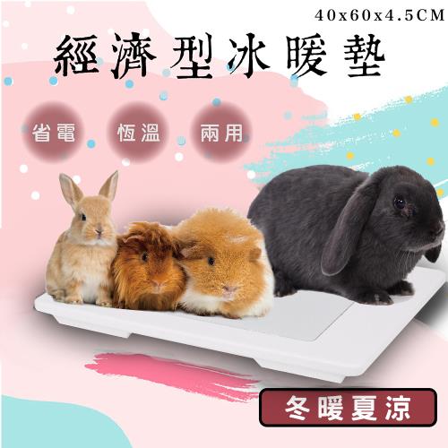 經濟型寵物冰暖墊(所有小動物適用)-寵物床