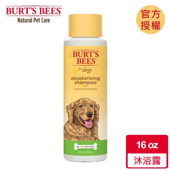 Burts Bees 小蜜蜂爺爺 蘋果迷迭香沐浴露 16oz