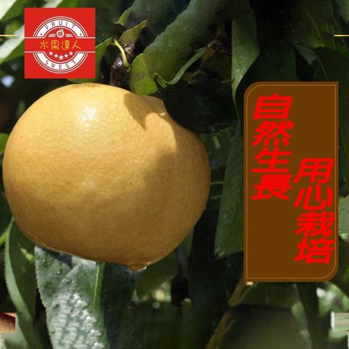 【水果達人】苗栗卓蘭爆汁高接梨禮盒8顆X2箱