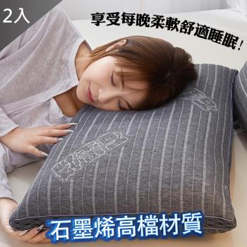 QIDINA 石墨稀舒壓可水洗睡眠枕頭 枕芯BX2