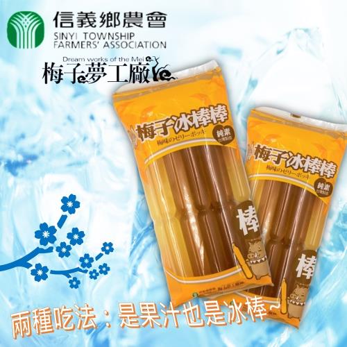 【信義鄉農會】梅子冰棒棒850g(85gx10入)x6包