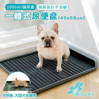 ALUCKY 寵物犬一體式尿便盆(45x58cm)