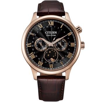 CITIZEN 星辰 GENTS光動能經典羅馬月相錶/黑X咖啡/42mm/AP1059-19E