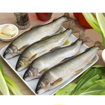 悅生活—鮮市集 黃金公香魚 1000g±5/盒 2盒組 (7~8尾/盒)