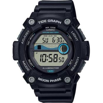 CASIO 卡西歐 10年電力 水上運動計時手錶-黑 (WS-1300H-1AV)