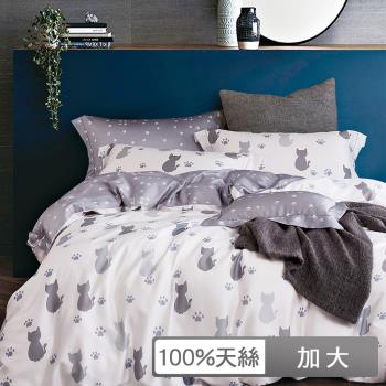 【貝兒居家生活館】100%天絲七件式兩用被床罩組 (加大雙人/仰星星)