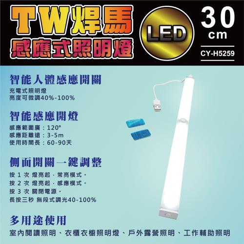 【TW焊馬】H5259 LED智能 人體 感應 開關 充電式30cm照明燈(露營燈120°照明)                  