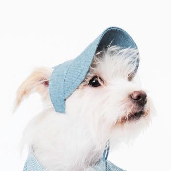 Sniff寵物狗狗牛仔遮陽帽子小型犬時尚休閑泰迪比熊法鬥防曬帽子