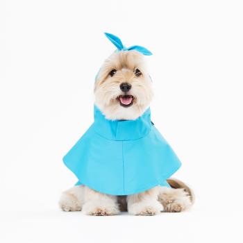 sniff寵物狗狗藍色蝴蝶結雨衣中小型犬時尚雨天衣服韓版雨衣新品