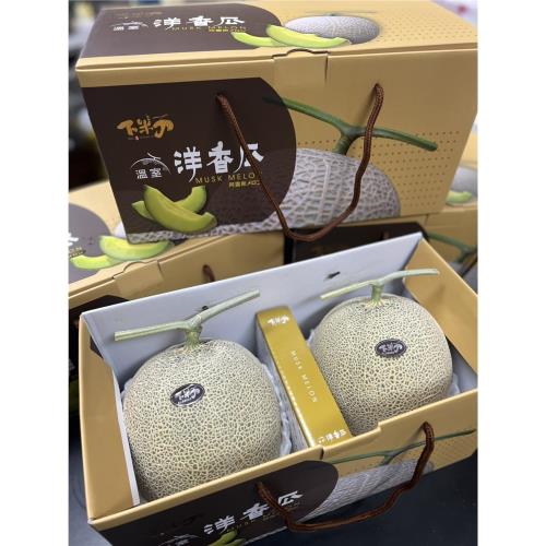 【RealShop 真食材本舖】日本頂級品種 阿露斯網紋洋香瓜 禮盒  3.2kg±10% 兩顆裝(送禮/水果禮盒)