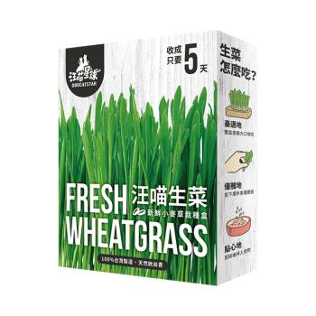 (汪喵星球)生菜新鮮栽培盒65g 兩入組