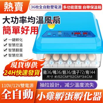 【金科】36枚孵化機【現貨】110v/12v雙電源全自動控溫小雞孵化器 孵蛋機