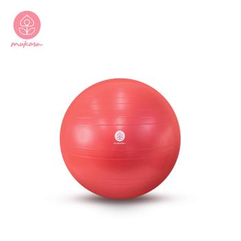 [Mukasa] 瑜珈球 (S) – 活力紅 – MUK-22571
