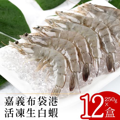 【北村漁家】嘉義布袋港活凍生白蝦250克12盒