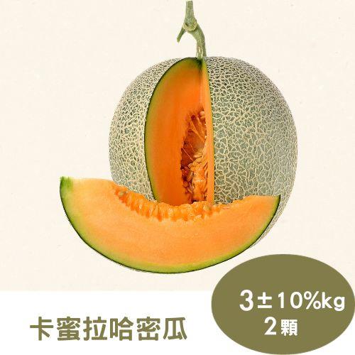 【RealShop 真食材本舖】卡蜜拉哈密瓜 約3kg±10%公斤/2顆裝(當季水果 採禮盒包裝)