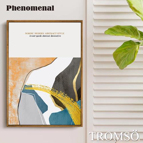【TROMSO】北歐生活版畫有框畫-北歐耀金W980(50x70cm)
