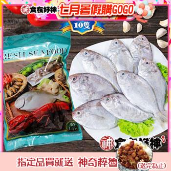 【食在好神】野生船凍刺鯧肉魚10尾裝(10尾/900克/包) 共5包