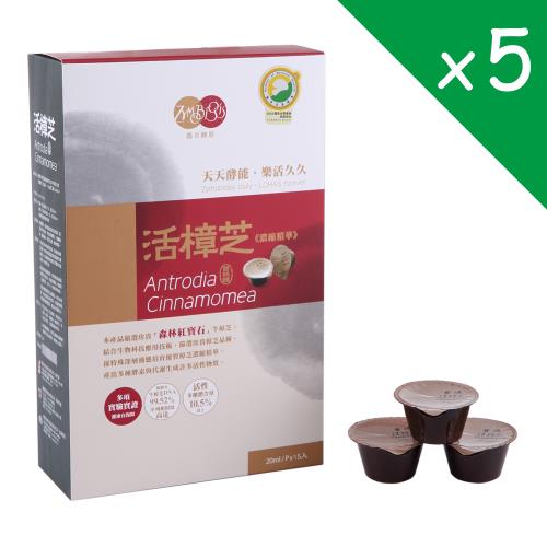 【麗豐】活樟芝濃縮精華 X 5盒