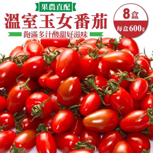 果農直配-嚴選溫室玉女小番茄8盒(約600g/盒)