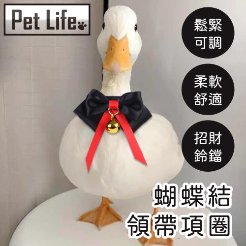 Pet Life 柯爾鴨寵物鴨鸚鵡小鳥蝴蝶結領帶項圈 黑色