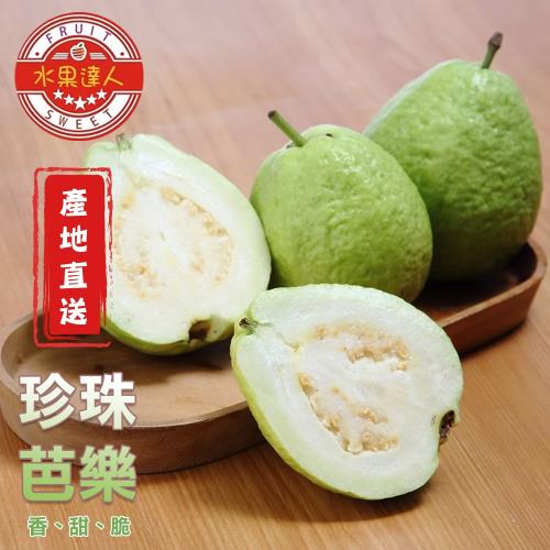 【水果達人】產地直送！珍珠芭樂禮盒4斤X1箱