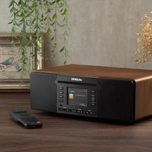 SANGEAN山進數位音響 DDR66BT 加贈 潘朵拉藍芽收音機PANDORA(隨機出貨.不分色)