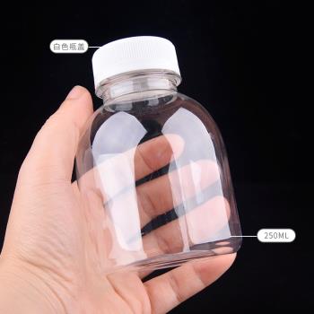 250ml透明飲料瓶PET塑料瓶創意網紅奶茶果汁瓶豆漿瓶外賣打包瓶
