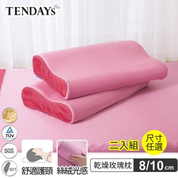 【TENDAYS】玩色柔眠記憶枕 2入組(乾燥玫瑰 8/10cm任選) 東森網路購物爆款 森森購物