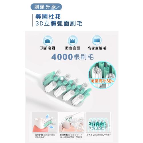 【SAMPO 聲寶】五段式磁懸浮音波震動牙刷/電動牙刷(TB-Z22U3L+6T)