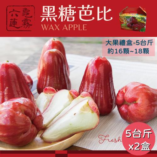 【六龜產地新鮮直送】LV級黑糖芭比蓮霧禮盒大果-5台斤X2盒(大果-約16顆~18顆/盒)