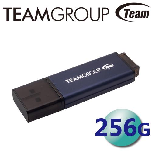 Team 十銓 256GB C211 USB3.2 隨身碟