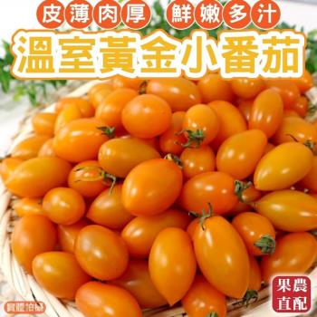 果物樂園-溫室黃金小番茄10盒(約600g/盒)