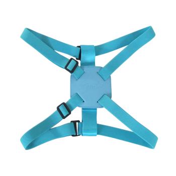 Gyrate 多用途X型行李束帶(湖水藍)
