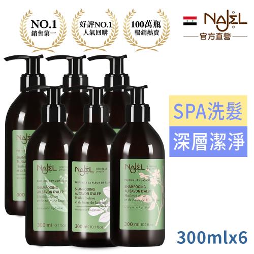 法國NAJEL阿勒坡古皂液淨透平衡頭皮SPA洗髮精買3送3