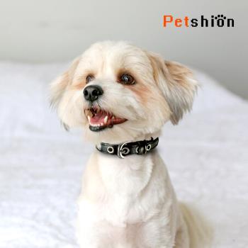 【Petshion】皮革項圈 寵物項圈 犬用項圈(C2-M)
