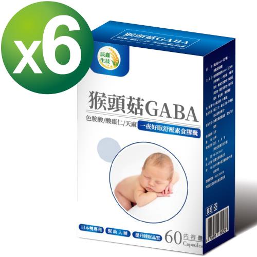 【辰鑫生技】猴頭菇GABA一夜好眠舒壓素食膠囊 6入組 (猴頭菇;GABA;色胺酸;酸棗仁;每盒60顆;共360顆)-慈濟共善