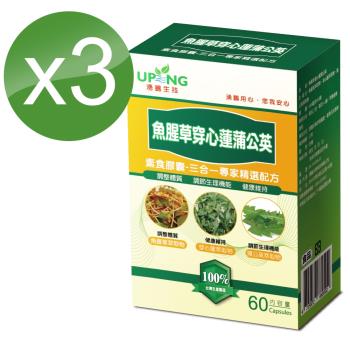 【湧鵬生技】魚腥草穿心蓮蒲公英素食膠囊3入組(魚腥草;穿心蓮;蒲公英每盒60顆;共180顆)-慈濟共善