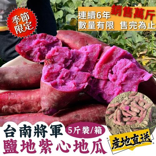 【今晚饗吃】原形聖品 台南將軍鹽地紫心地瓜(5斤/箱)-免運組