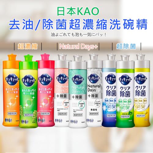 【花王Cucute】超濃縮除菌洗碗精240ｍl  多款口味任選 KAO 珂珂透